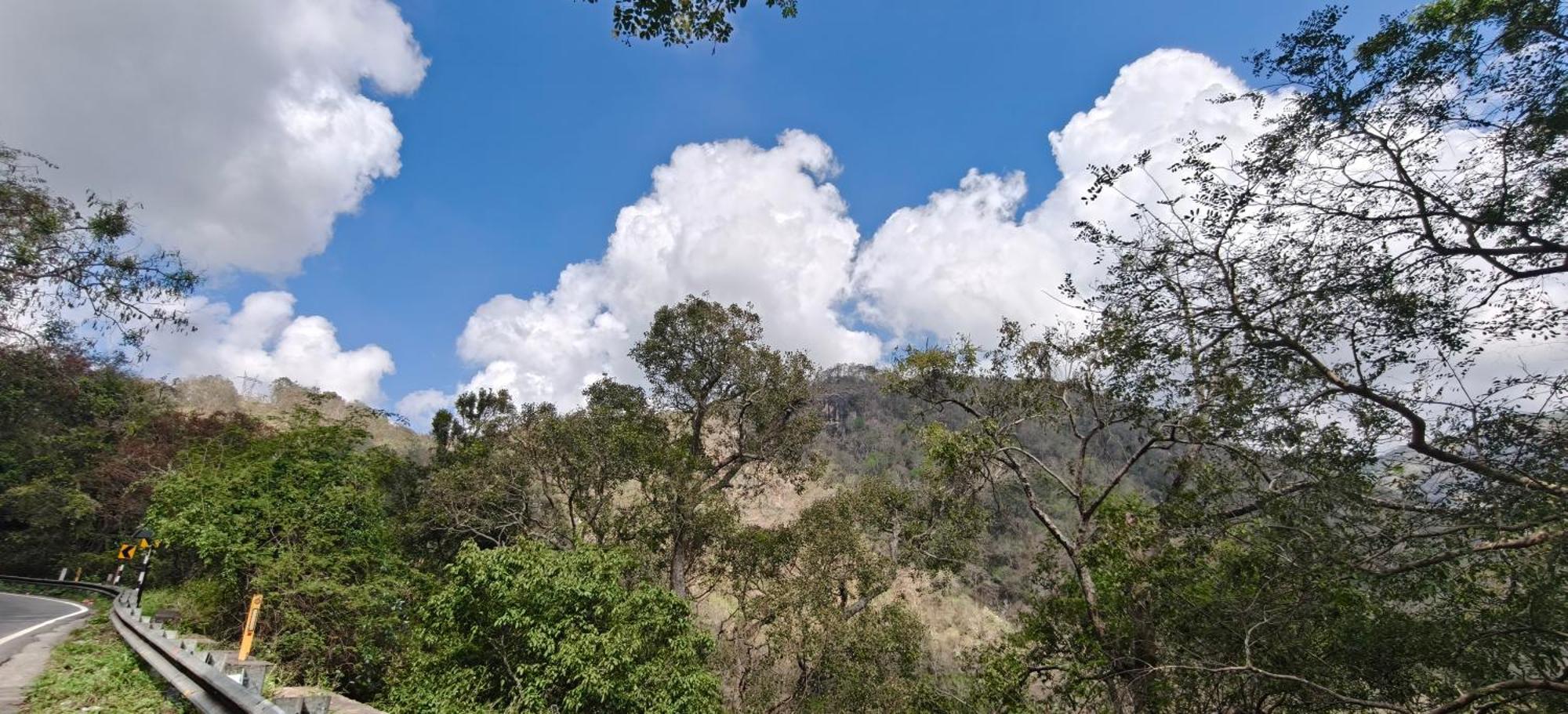 Apartment Periyar Hills Homestay, *